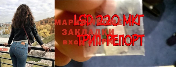 дживик Бронницы