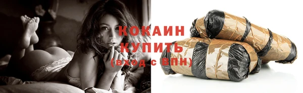 дживик Бронницы