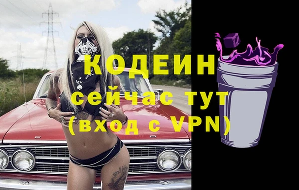 эйфоретик Вяземский