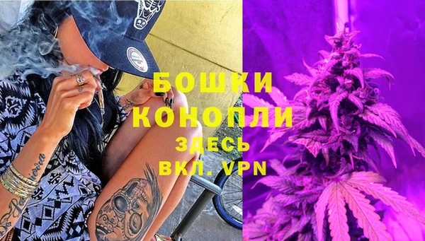 гашик Белокуриха