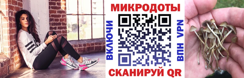 цены наркотик  Зима  Псилоцибиновые грибы ЛСД 